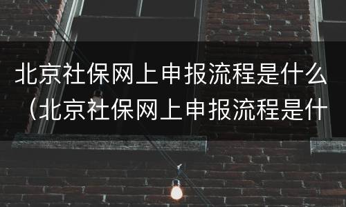 北京社保网上申报流程是什么（北京社保网上申报流程是什么意思）