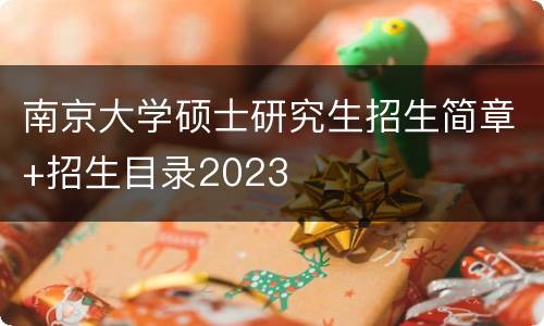 南京大学硕士研究生招生简章+招生目录2023