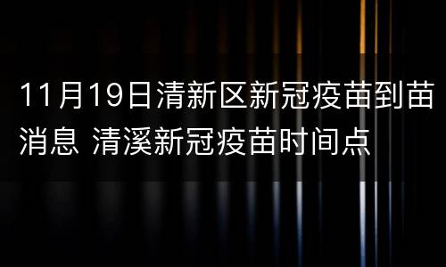 11月19日清新区新冠疫苗到苗消息 清溪新冠疫苗时间点