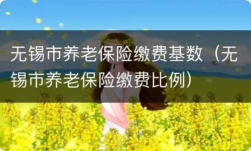 无锡市养老保险缴费基数（无锡市养老保险缴费比例）