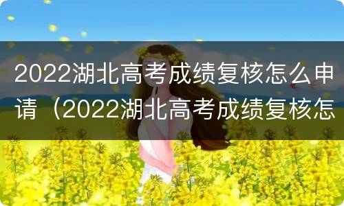 2022湖北高考成绩复核怎么申请（2022湖北高考成绩复核怎么申请的）