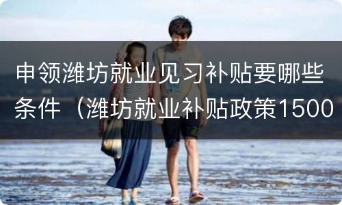 申领潍坊就业见习补贴要哪些条件（潍坊就业补贴政策1500）