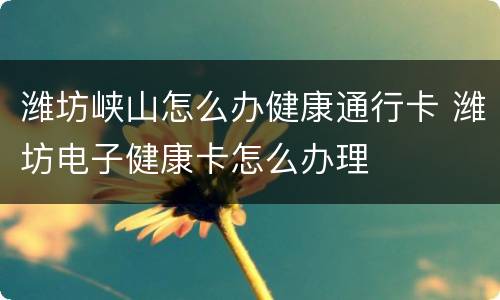 潍坊峡山怎么办健康通行卡 潍坊电子健康卡怎么办理
