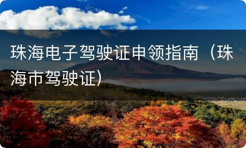 珠海电子驾驶证申领指南（珠海市驾驶证）