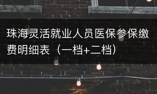 珠海灵活就业人员医保参保缴费明细表（一档+二档）