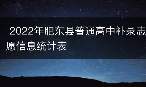  2022年肥东县普通高中补录志愿信息统计表