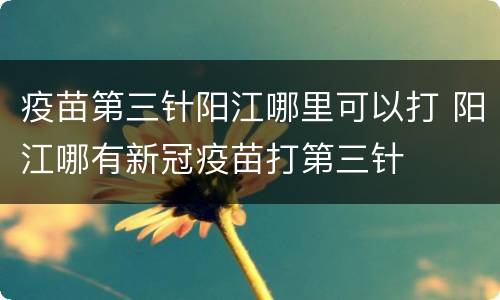 疫苗第三针阳江哪里可以打 阳江哪有新冠疫苗打第三针