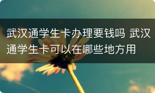 武汉通学生卡办理要钱吗 武汉通学生卡可以在哪些地方用
