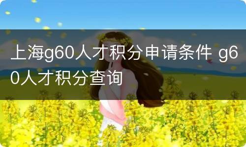 上海g60人才积分申请条件 g60人才积分查询