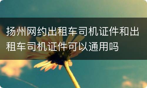 扬州网约出租车司机证件和出租车司机证件可以通用吗