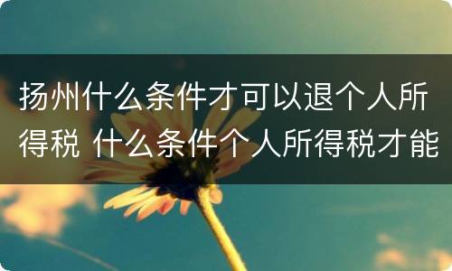 扬州什么条件才可以退个人所得税 什么条件个人所得税才能退