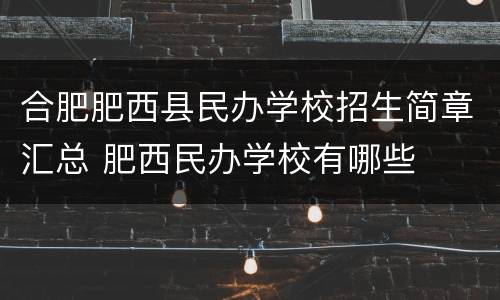合肥肥西县民办学校招生简章汇总 肥西民办学校有哪些