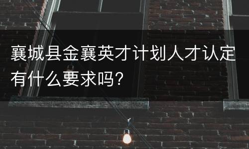 襄城县金襄英才计划人才认定有什么要求吗?