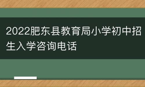 2022肥东县教育局小学初中招生入学咨询电话