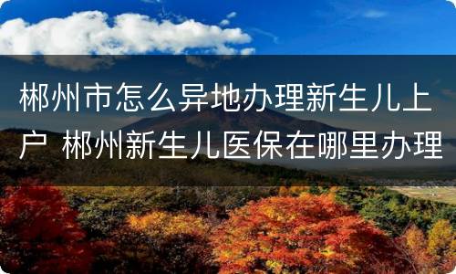 郴州市怎么异地办理新生儿上户 郴州新生儿医保在哪里办理