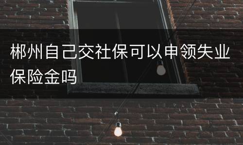 郴州自己交社保可以申领失业保险金吗