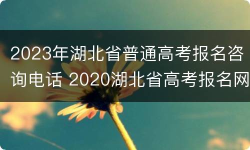 2023年湖北省普通高考报名咨询电话 2020湖北省高考报名网站登录