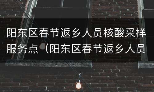 阳东区春节返乡人员核酸采样服务点（阳东区春节返乡人员核酸采样服务点电话）