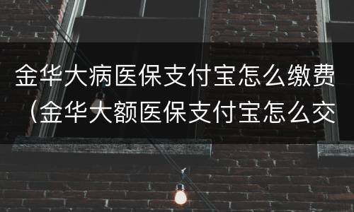 金华大病医保支付宝怎么缴费（金华大额医保支付宝怎么交）