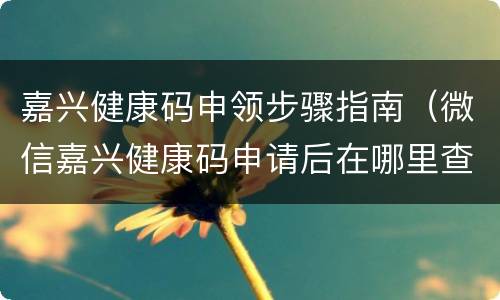 嘉兴健康码申领步骤指南（微信嘉兴健康码申请后在哪里查看）