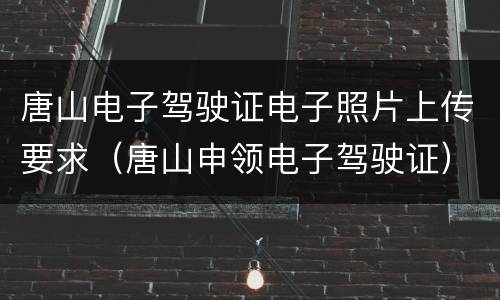 唐山电子驾驶证电子照片上传要求（唐山申领电子驾驶证）