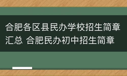 合肥各区县民办学校招生简章汇总 合肥民办初中招生简章