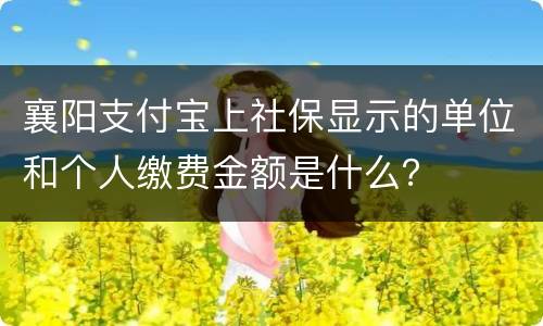 襄阳支付宝上社保显示的单位和个人缴费金额是什么？