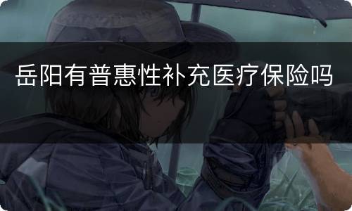 岳阳有普惠性补充医疗保险吗