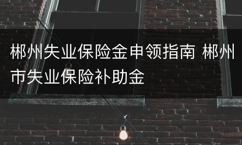郴州失业保险金申领指南 郴州市失业保险补助金