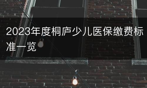 2023年度桐庐少儿医保缴费标准一览