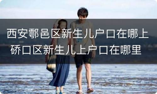 西安鄠邑区新生儿户口在哪上 硚口区新生儿上户口在哪里