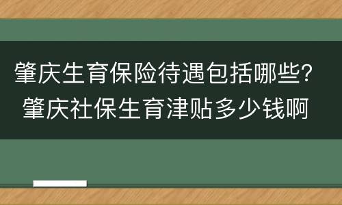 肇庆生育保险待遇包括哪些？ 肇庆社保生育津贴多少钱啊