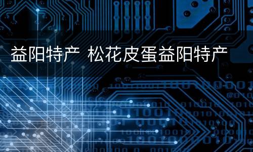 益阳特产 松花皮蛋益阳特产