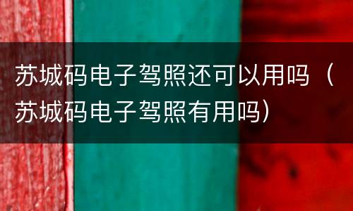 苏城码电子驾照还可以用吗（苏城码电子驾照有用吗）
