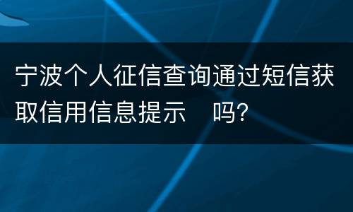 宁波个人征信查询通过短信获取信用信息提示​吗？