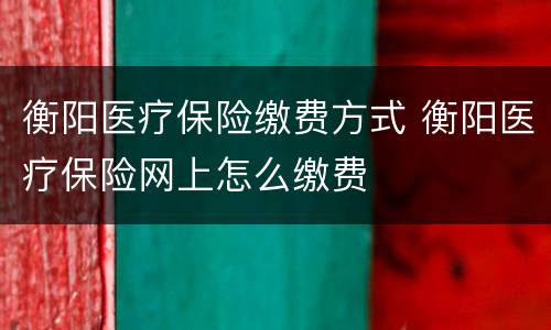 衡阳医疗保险缴费方式 衡阳医疗保险网上怎么缴费