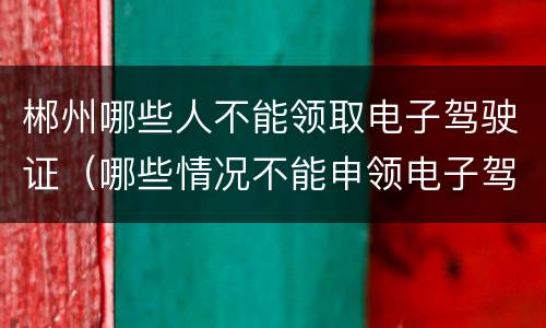 郴州哪些人不能领取电子驾驶证（哪些情况不能申领电子驾驶证）
