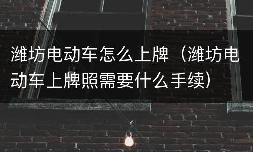 潍坊电动车怎么上牌（潍坊电动车上牌照需要什么手续）