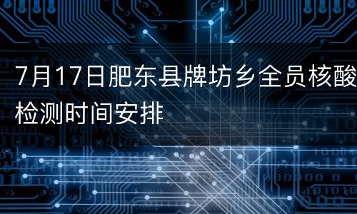 7月17日肥东县牌坊乡全员核酸检测时间安排
