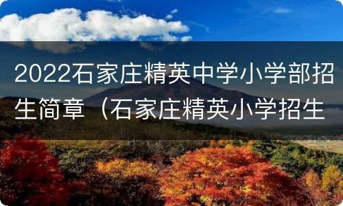 2022石家庄精英中学小学部招生简章（石家庄精英小学招生条件2020）