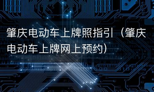 肇庆电动车上牌照指引（肇庆电动车上牌网上预约）