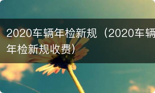 2020车辆年检新规（2020车辆年检新规收费）