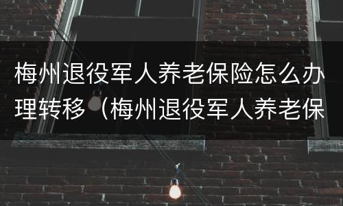梅州退役军人养老保险怎么办理转移（梅州退役军人养老保险怎么办理转移）