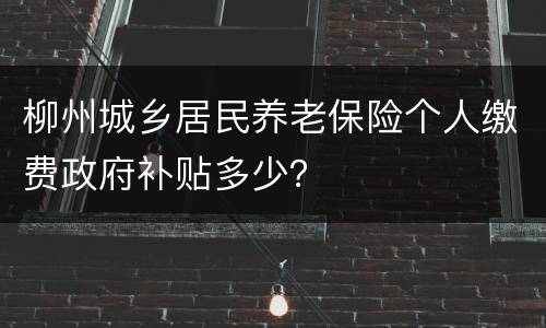 柳州城乡居民养老保险个人缴费政府补贴多少？