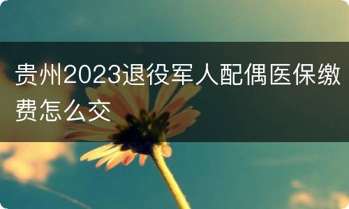 贵州2023退役军人配偶医保缴费怎么交