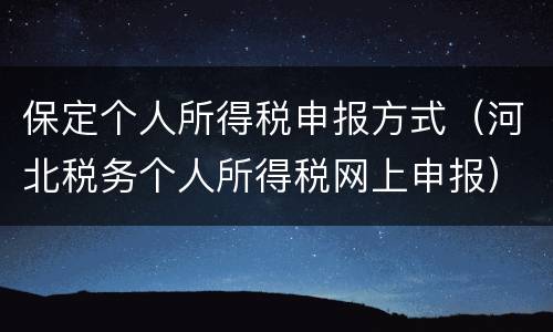 保定个人所得税申报方式（河北税务个人所得税网上申报）