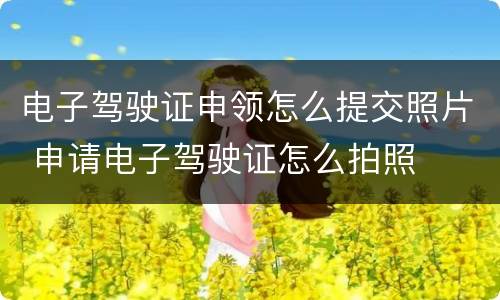 电子驾驶证申领怎么提交照片 申请电子驾驶证怎么拍照