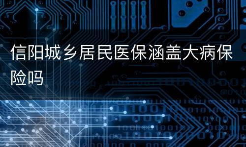 信阳城乡居民医保涵盖大病保险吗