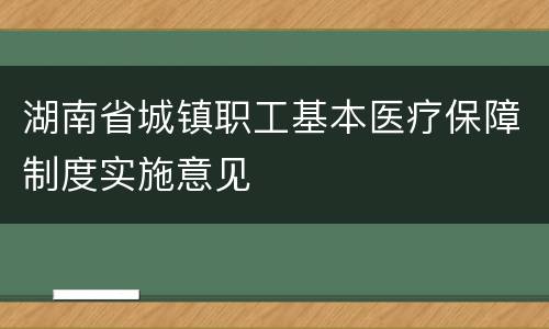 湖南省城镇职工基本医疗保障制度实施意见