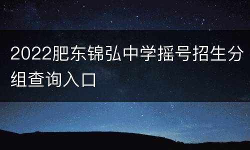 2022肥东锦弘中学摇号招生分组查询入口